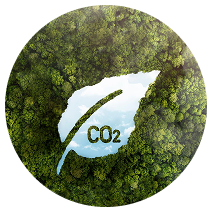Trồng cây tạo Oxi giảm carbon