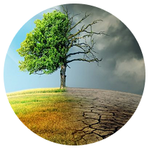 Giảm biến đổi khí hậu